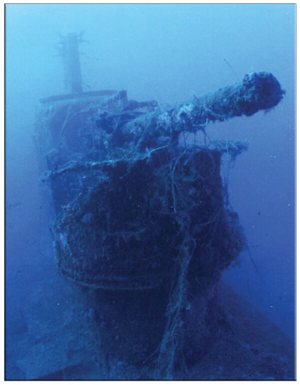 ΕΣΩΤΕΡΙΚΗ ΣΕΛΙΔΑ ΝΑΥΑΓΙΑ ΣΤΟΝ ΕΛΛΗΝΙΚΟ ΒΥΘΟ