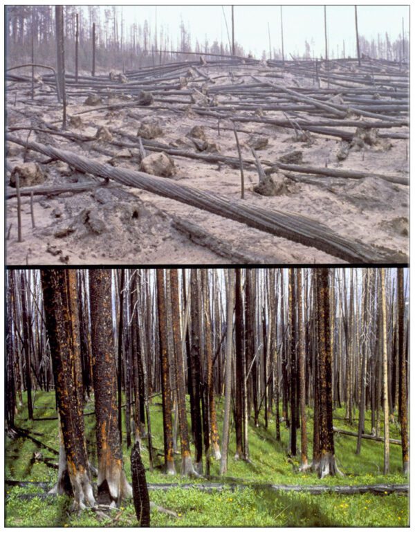 ΕΣΩΤΕΡΙΚΗ ΣΕΛΙΔΑ- ΕΥΘΡΑΥΣΤΗ ΓΗ - ΟΨΕΙΣ ΕΝΟΣ ΚΟΣΜΟΥ ΠΟΥ ΑΛΛΑΖΕΙ