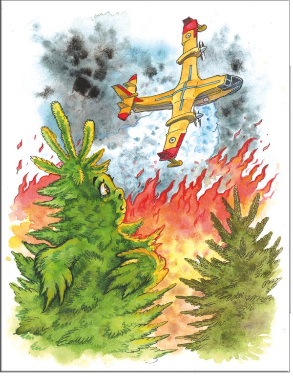 ΟΝΕΙΡΟ ΣΤΟ ΣΠΙΤΙ ΤΩΝ ΧΡΙΣΤΟΥΓΕΝΝΩΝ – ΤΟ ΕΛΑΤΟ ΚΑΙ ΤΟ ΣΠΟΥΡΓΙΤΙ ΟΝΕΙΡΟ ΣΤΟ ΣΠΙΤΙ ΤΩΝ ΧΡΙΣΤΟΥΓΕΝΝΩΝ - ΤΟ ΕΛΑΤΟ ΚΑΙ ΤΟ ΣΠΟΥΡΓΙΤΙ